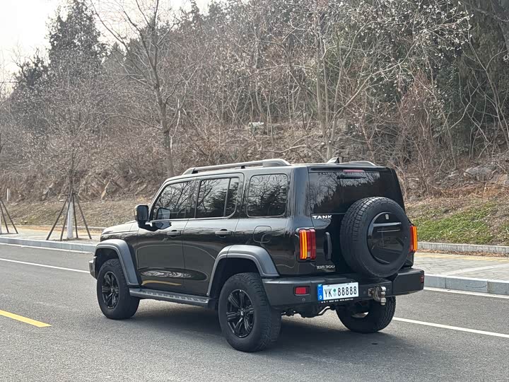 Фото 5 - Tank 300