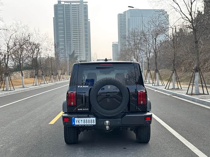 Фото 6 - Tank 300