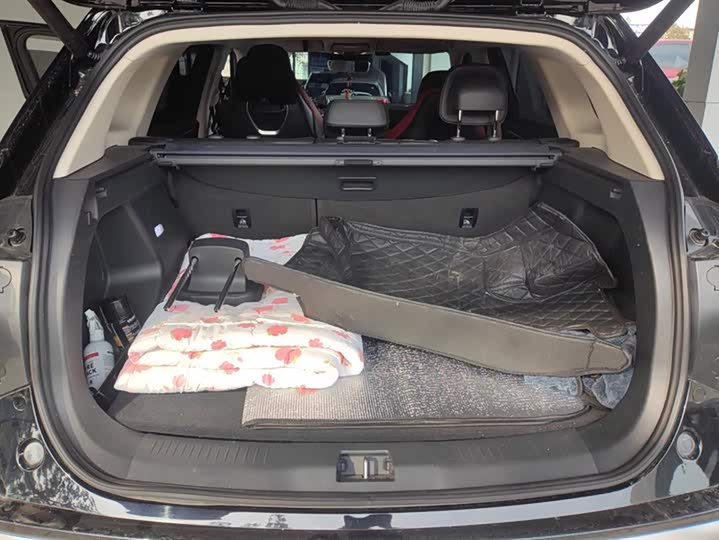 Фото 4 - Hongqi HS3