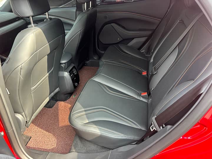 Фото 7 - Ford Mustang Mach-E