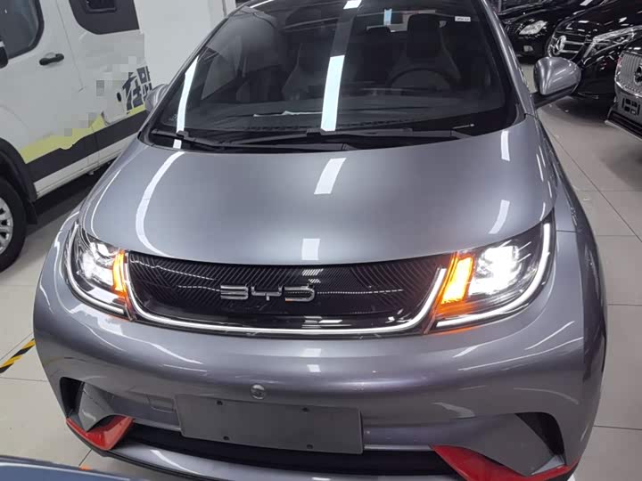 Фото 3 - BYD Dolphin