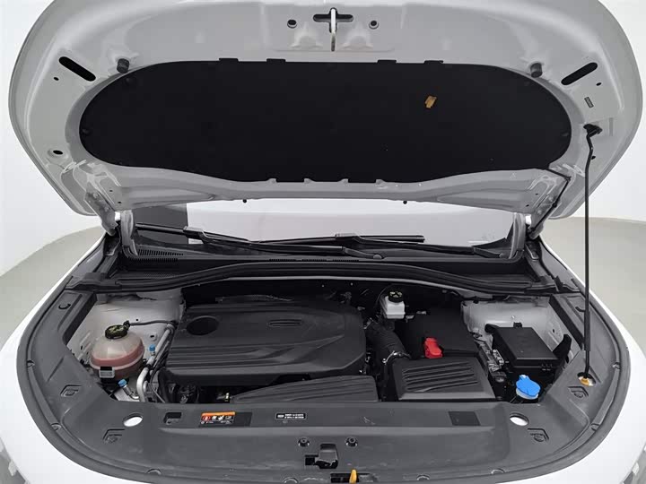 Фото 6 - Geely Okavango