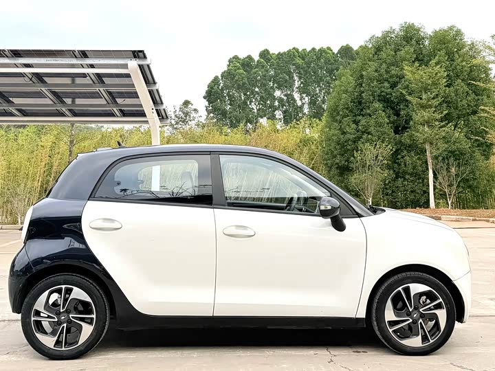 Фото 4 - Ora Black Cat