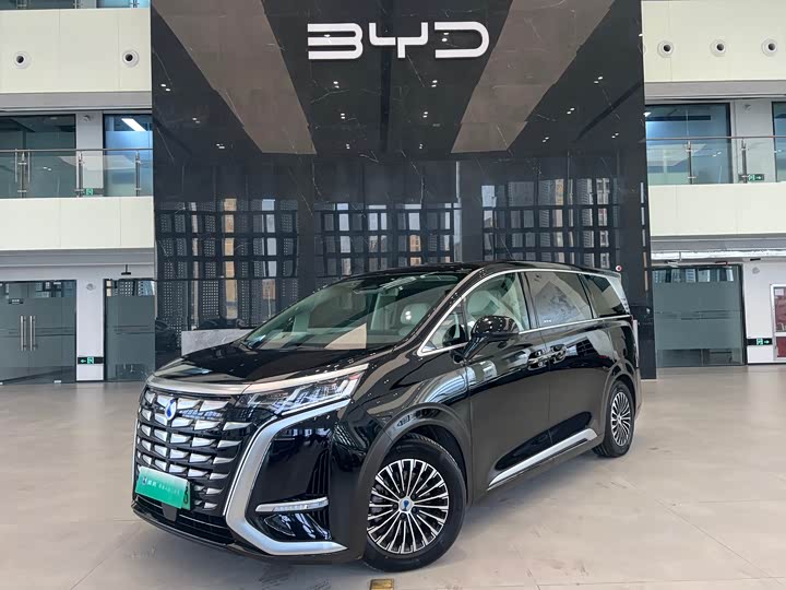 Фото 1 - Denza D9