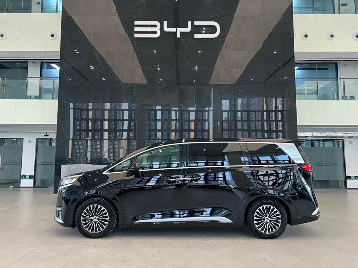 Фото 3 - Denza D9