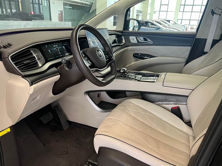 Фото 6 - Denza D9