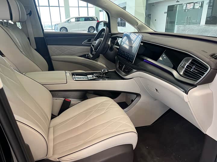 Фото 8 - Denza D9