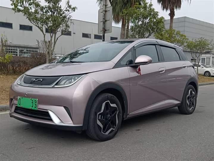 Фото 1 - BYD Dolphin