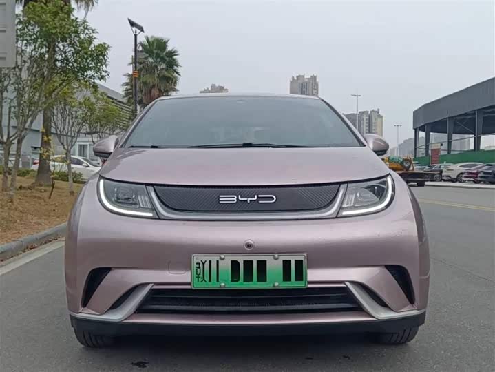 Фото 3 - BYD Dolphin