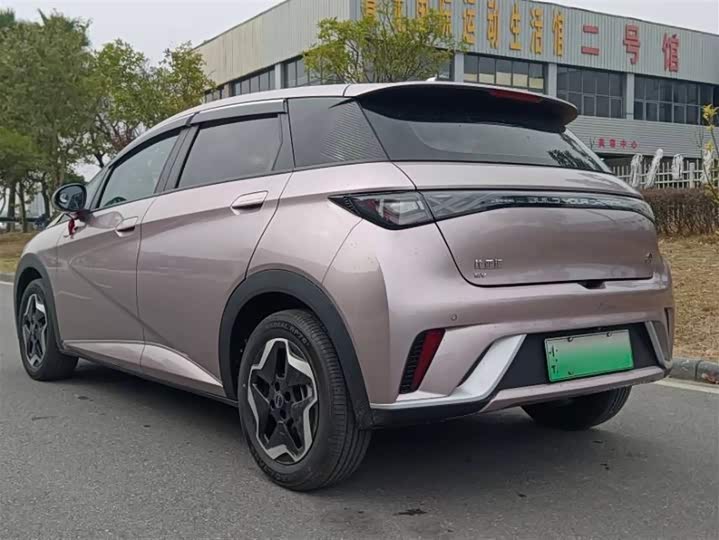 Фото 5 - BYD Dolphin