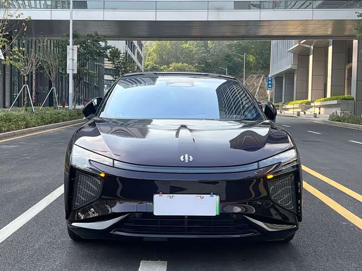 Фото 2 - HiPhi X