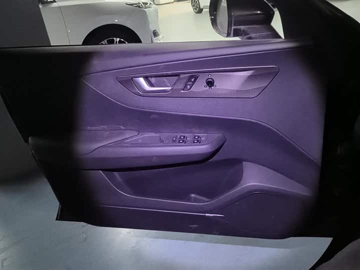 Фото 7 - Hongqi E-QM5