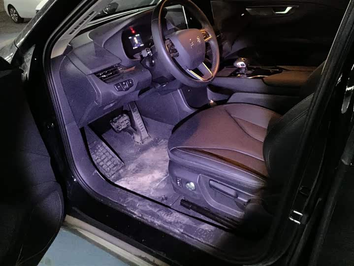 Фото 9 - Hongqi E-QM5