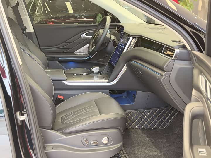 Фото 6 - Hongqi HS7 Hybrid