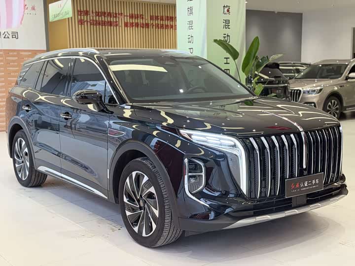 Фото 7 - Hongqi HS7 Hybrid
