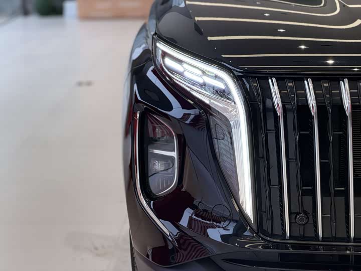 Фото 9 - Hongqi HS7 Hybrid
