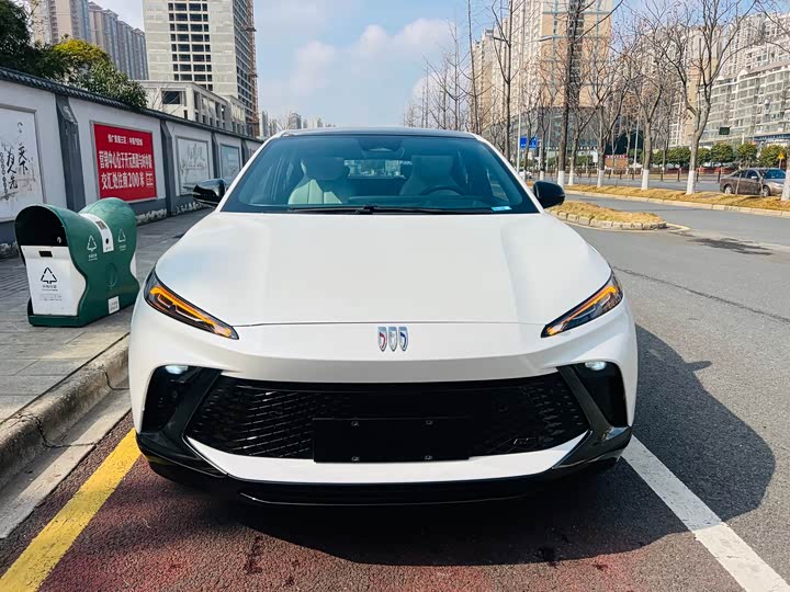 Фото 2 - Buick Electra E4