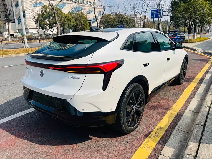 Фото 6 - Buick Electra E4