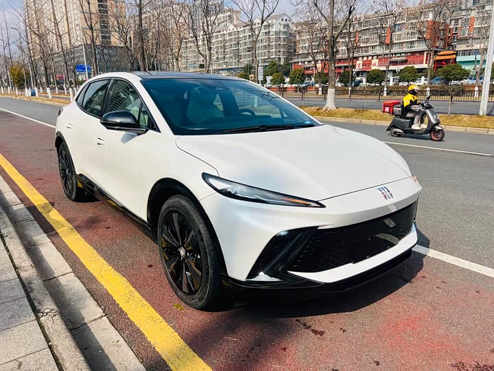 Фото 8 - Buick Electra E4