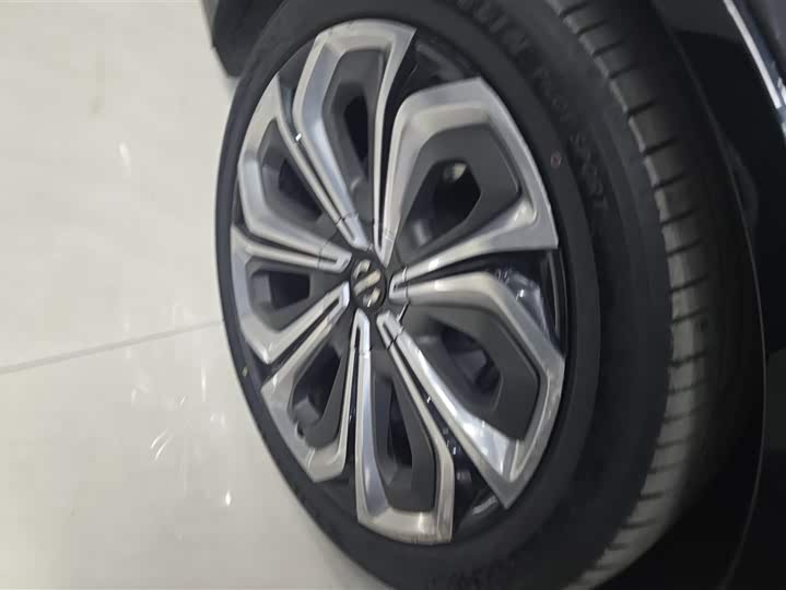 Фото 6 - HiPhi X