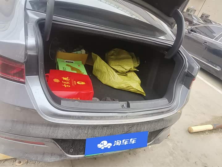 Фото 4 - BYD Qin Plus