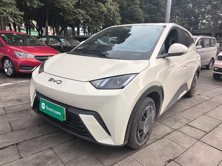 Фото 1 - BYD Seagull