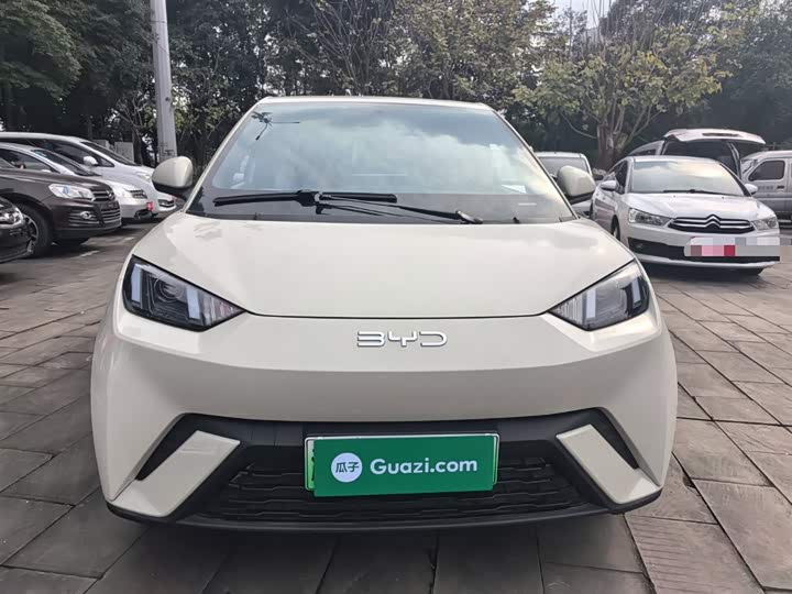 Фото 3 - BYD Seagull