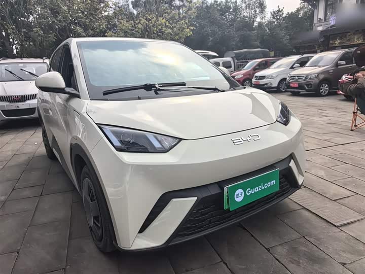 Фото 4 - BYD Seagull