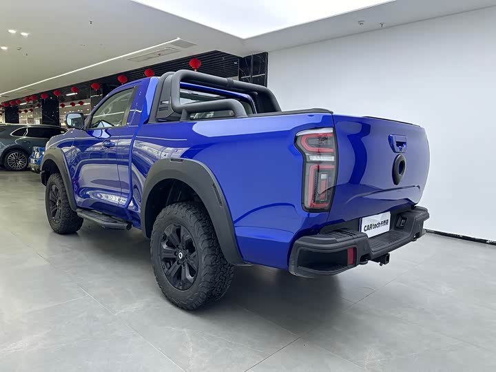 Фото 4 - Great Wall Pao