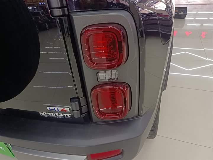 Фото 8 - Haval Raptor Hybrid