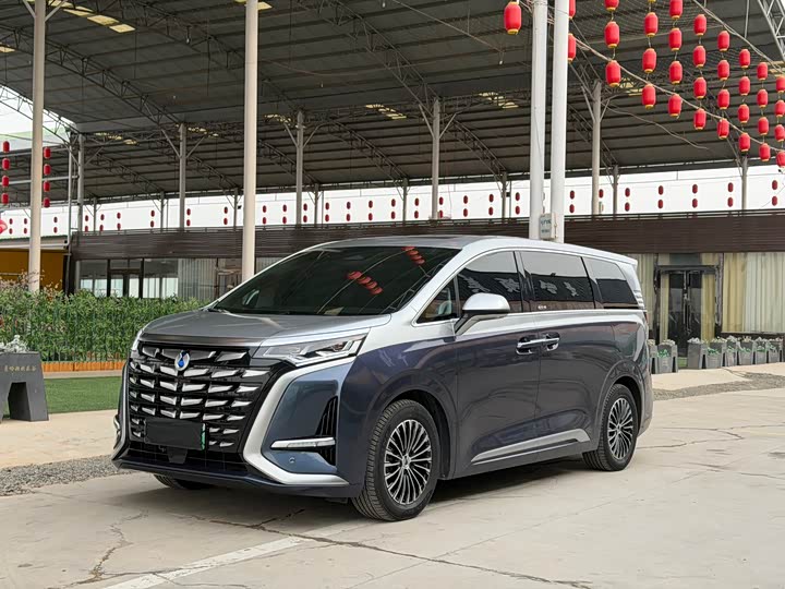 Фото 1 - Denza D9