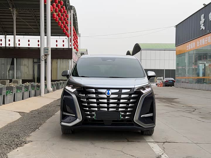 Фото 2 - Denza D9