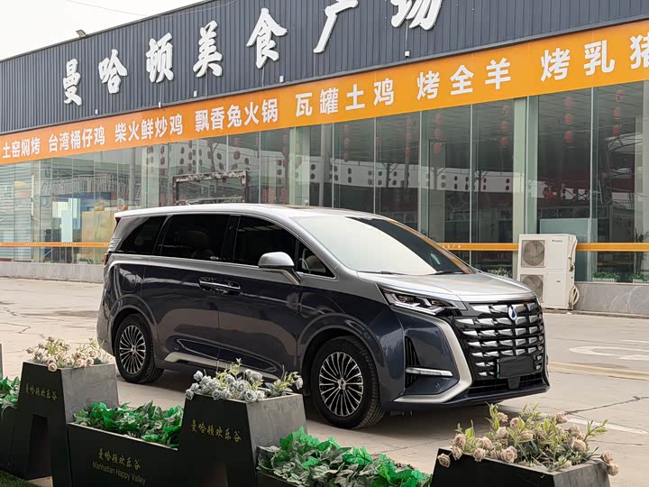 Фото 3 - Denza D9