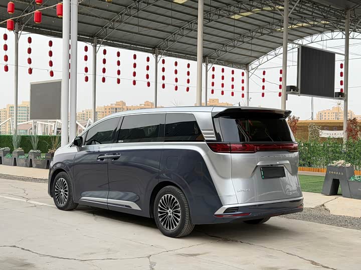 Фото 6 - Denza D9