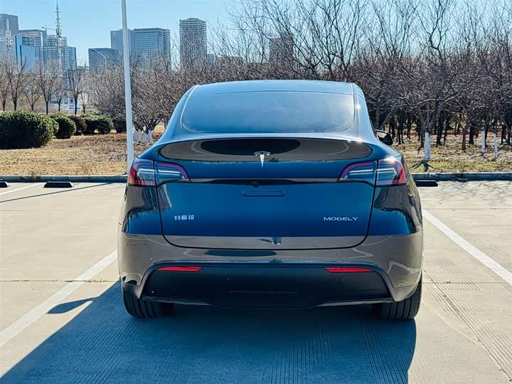 Фото 4 - Tesla Model Y