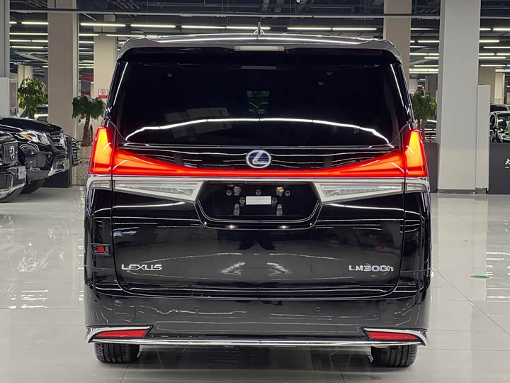 Фото 5 - Lexus LM
