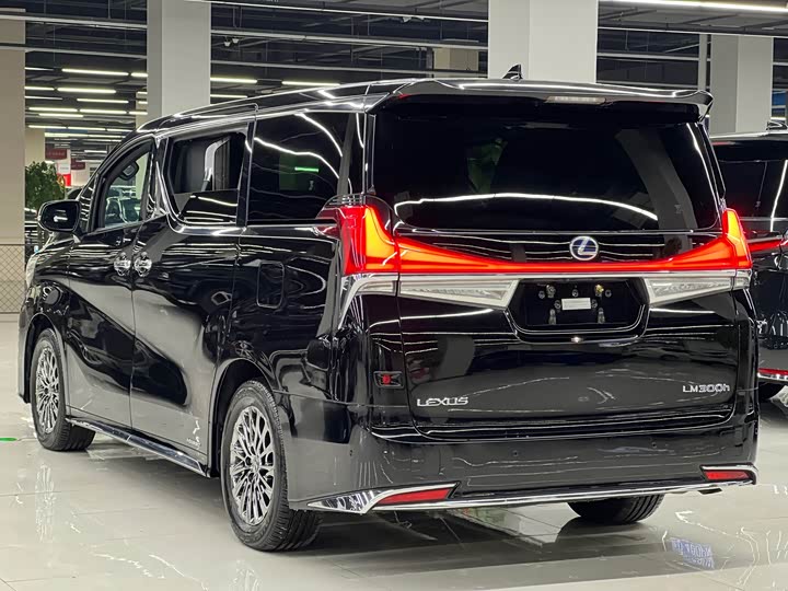 Фото 6 - Lexus LM