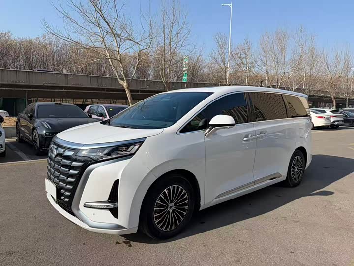 Фото 1 - Denza D9