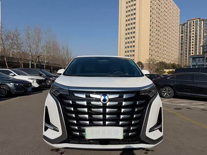 Фото 2 - Denza D9