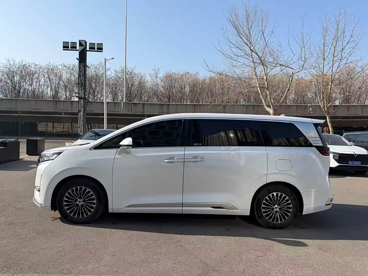 Фото 3 - Denza D9