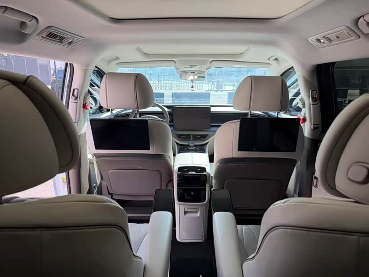 Фото 5 - Denza D9