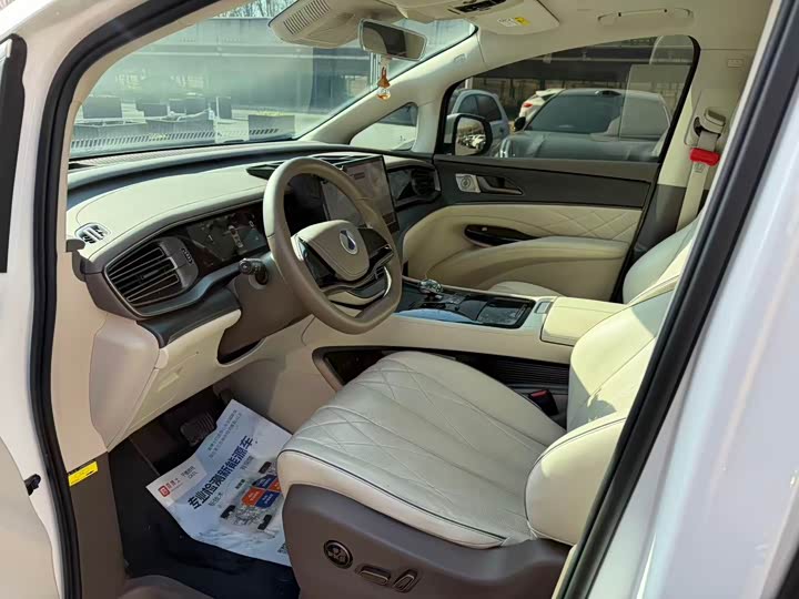 Фото 7 - Denza D9