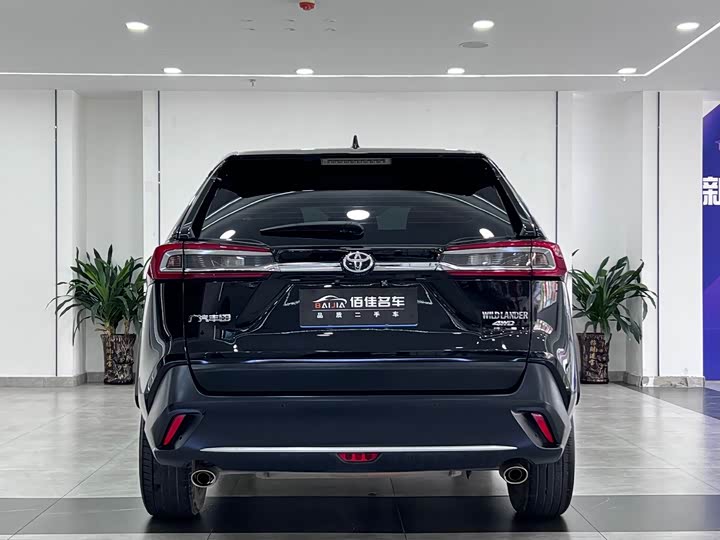 Фото 6 - Toyota Wildlander