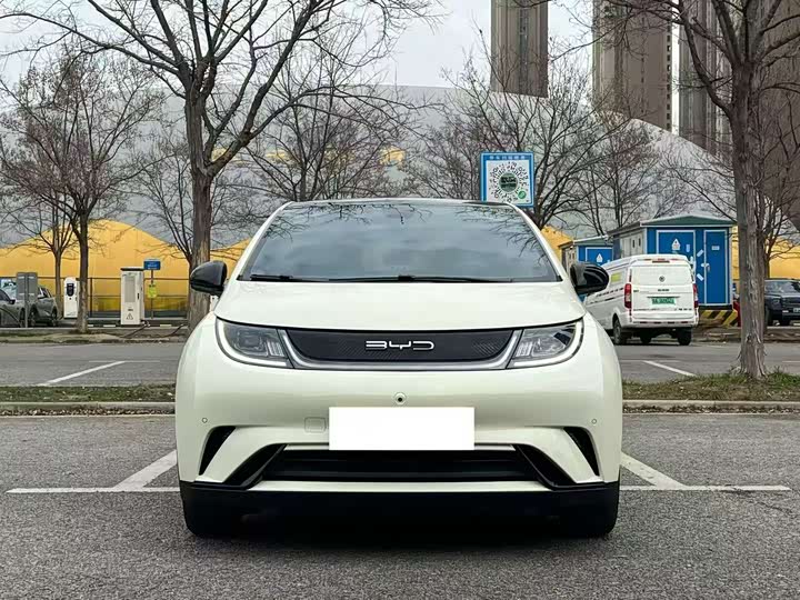 Фото 2 - BYD Dolphin