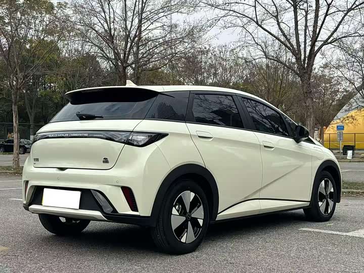 Фото 7 - BYD Dolphin