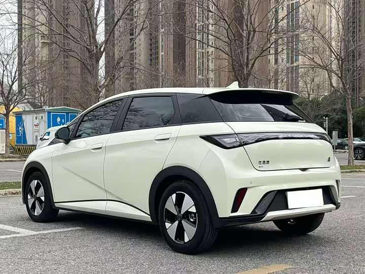 Фото 9 - BYD Dolphin