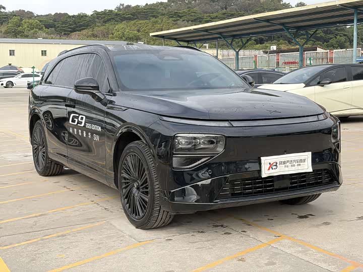 Фото 3 - XPeng G9