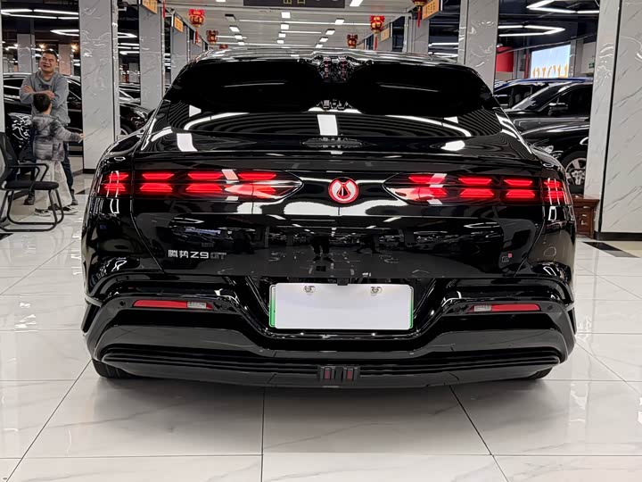 Фото 4 - Denza Z9GT