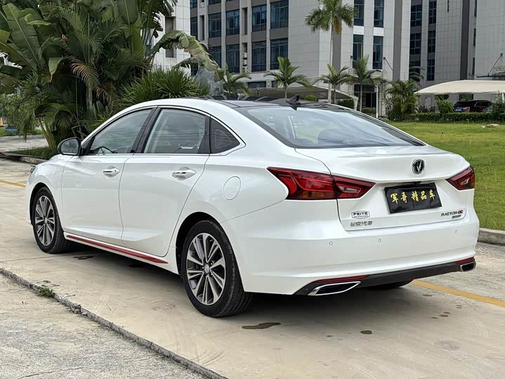 Фото 5 - Changan Raeton CC