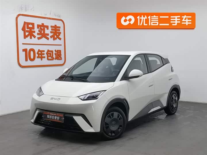 Фото 1 - BYD Seagull